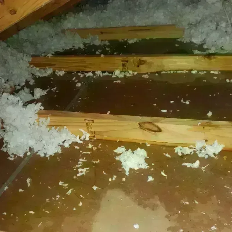 Attic Water Damage in Kodiak, AK