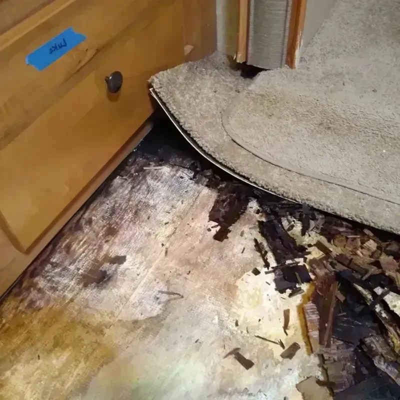 Wood Floor Water Damage in Kodiak, AK